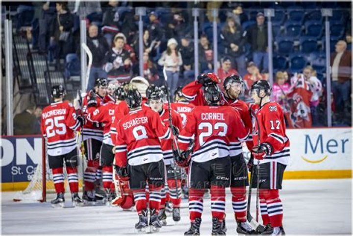 Who owns the Niagara icedogs?