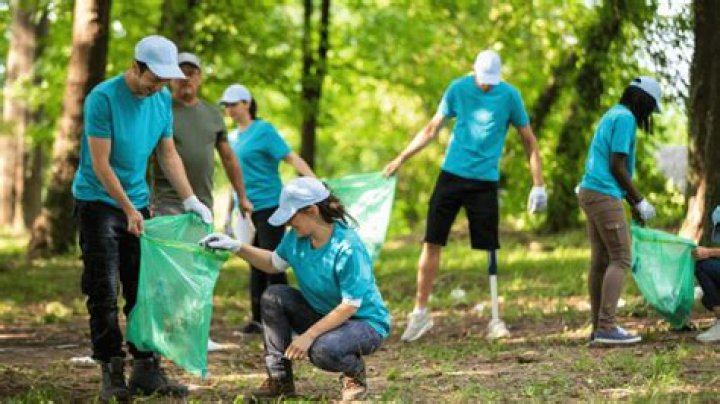 Why does the government encourage volunteerism?