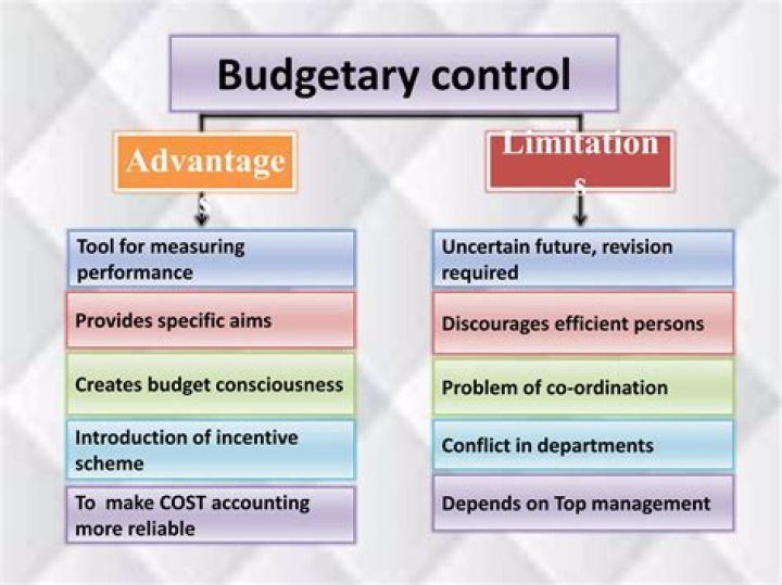 Why is budgetary control important in business?