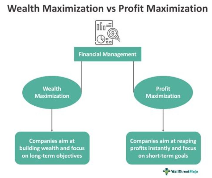 Why is shareholders wealth maximization is the goal of finance?